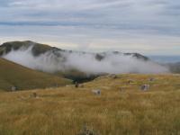 Albums/20060200-New Zealand 2006/20060203-Banks_Akaroa/4